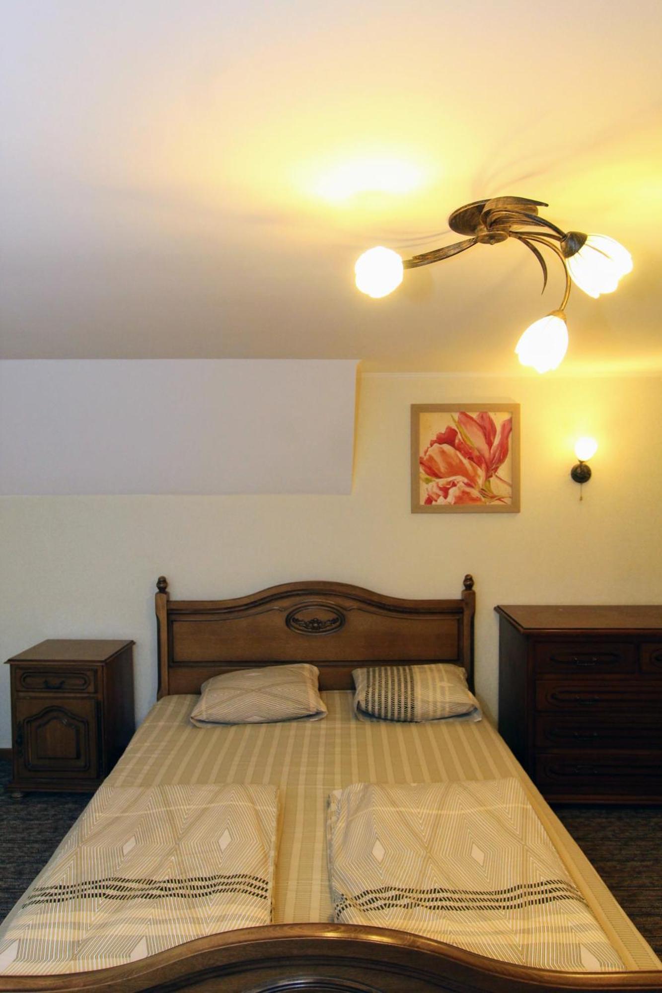 Затишний Міні-Готель "Rosky" Yasinya Room photo
